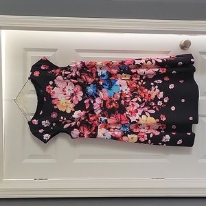 Adrianna Papell dress size 20W